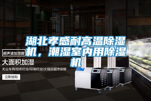 湖北孝感耐高溫除濕機(jī)，潮濕室內(nèi)用除濕機(jī)