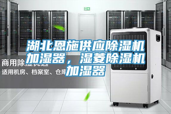 湖北恩施供應(yīng)除濕機(jī)加濕器，濕菱除濕機(jī)加濕器