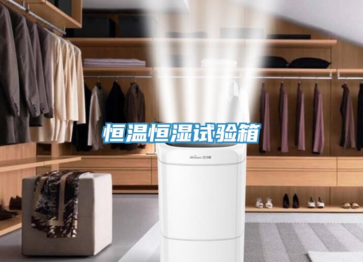 恒溫恒濕試驗(yàn)箱