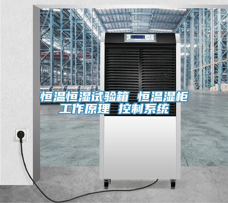 恒溫恒濕試驗(yàn)箱 恒溫濕柜工作原理 控制系統(tǒng)
