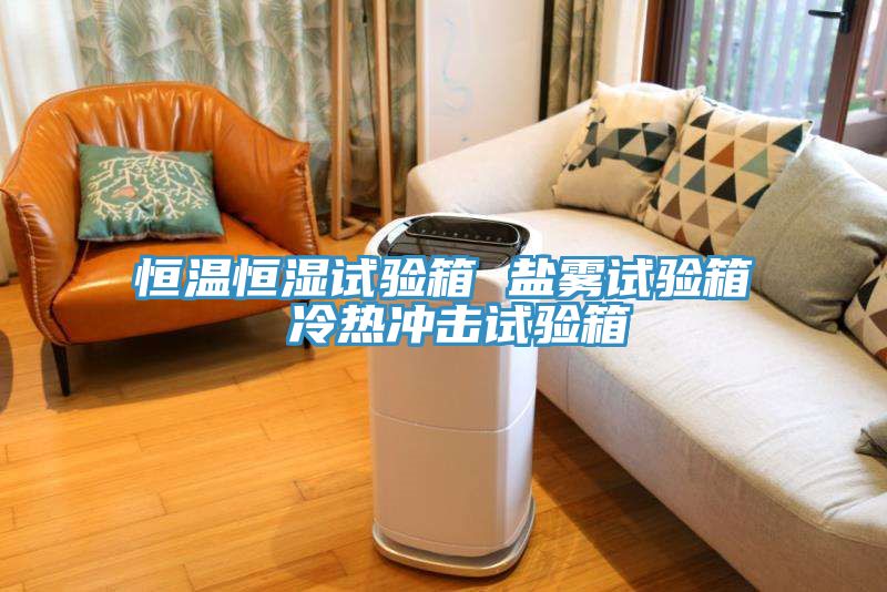 恒溫恒濕試驗(yàn)箱 鹽霧試驗(yàn)箱 冷熱沖擊試驗(yàn)箱
