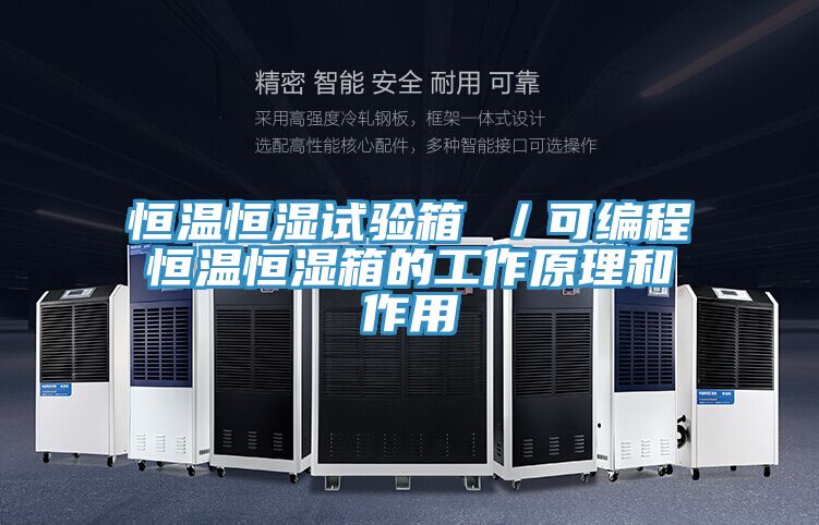 恒溫恒濕試驗(yàn)箱 ／可編程恒溫恒濕箱的工作原理和作用