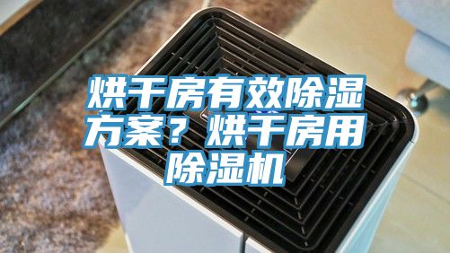 烘干房有效除濕方案？烘干房用除濕機