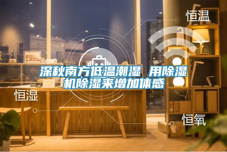 深秋南方低溫潮濕 用除濕機除濕來增加體感