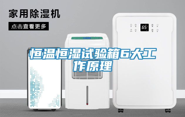 恒溫恒濕試驗(yàn)箱6大工作原理