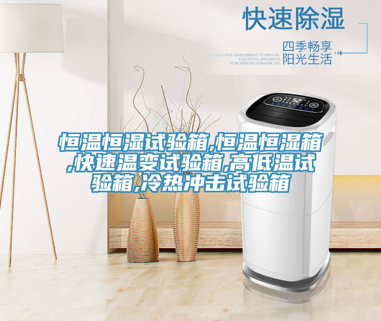 恒溫恒濕試驗(yàn)箱,恒溫恒濕箱,快速溫變試驗(yàn)箱,高低溫試驗(yàn)箱,冷熱沖擊試驗(yàn)箱