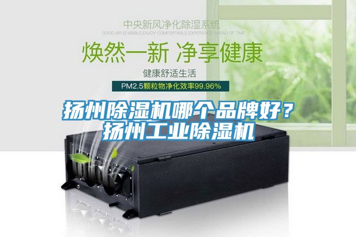 揚州除濕機哪個品牌好？揚州工業(yè)除濕機