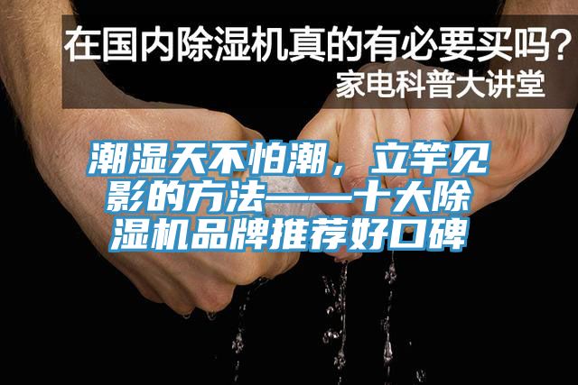 潮濕天不怕潮，立竿見(jiàn)影的方法——十大除濕機(jī)品牌推薦好口碑