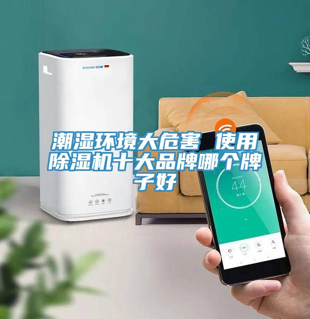 潮濕環(huán)境大危害 使用除濕機(jī)十大品牌哪個(gè)牌子好