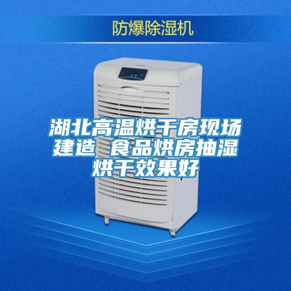 湖北高溫烘干房現(xiàn)場(chǎng)建造 食品烘房抽濕烘干效果好