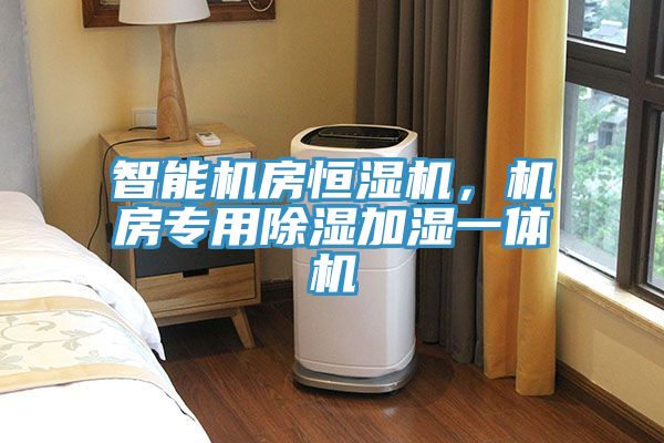 智能機房恒濕機，機房專用除濕加濕一體機
