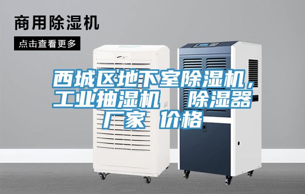 西城區(qū)地下室除濕機，工業(yè)抽濕機  除濕器廠家 價格