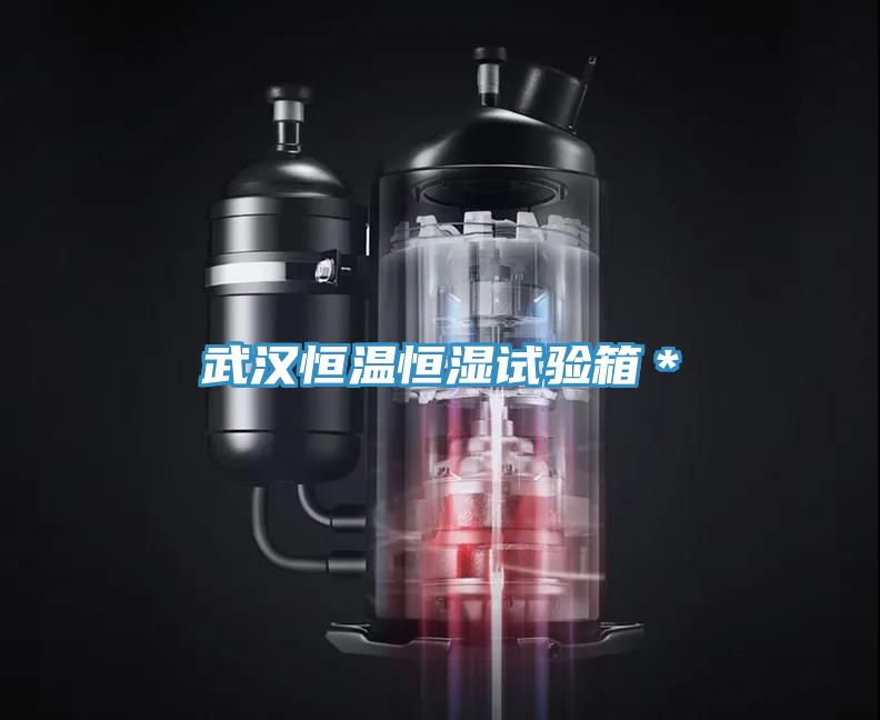 武漢恒溫恒濕試驗(yàn)箱＊