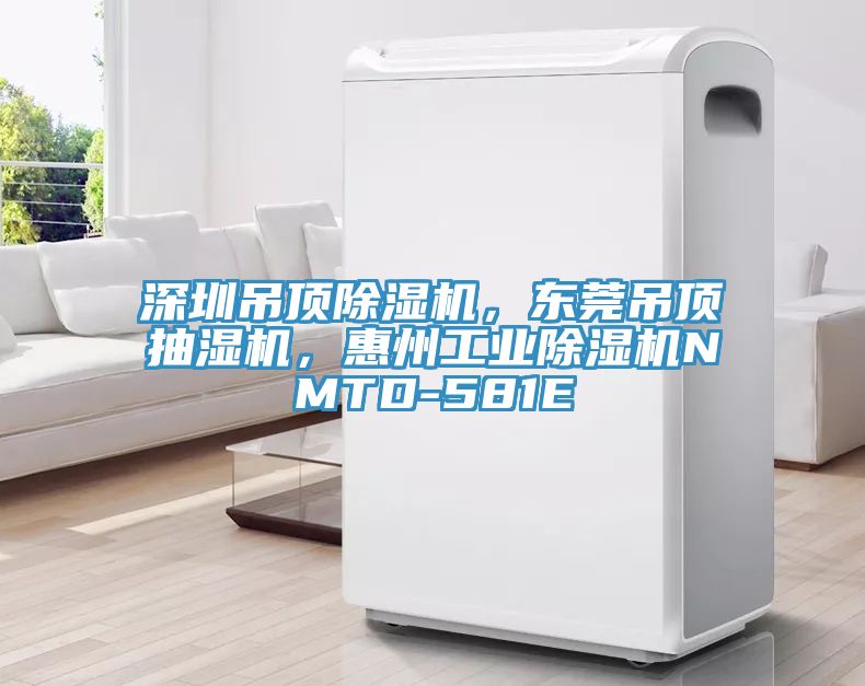 深圳吊頂除濕機，東莞吊頂抽濕機，惠州工業(yè)除濕機NMTD-581E