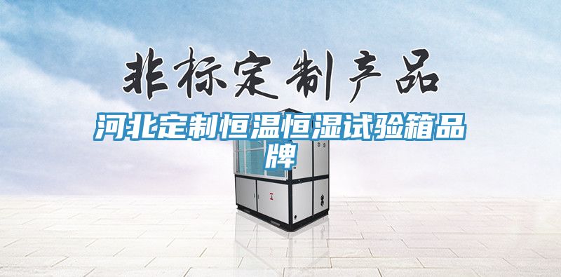 河北定制恒溫恒濕試驗(yàn)箱品牌