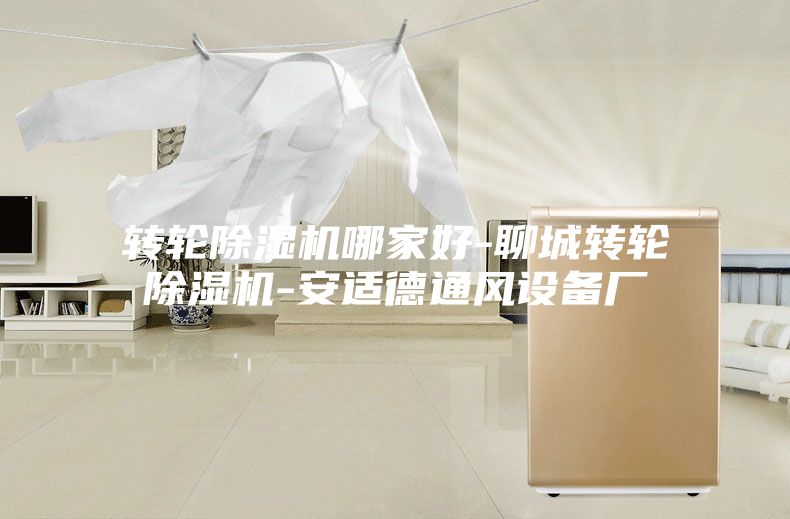 轉(zhuǎn)輪除濕機(jī)哪家好-聊城轉(zhuǎn)輪除濕機(jī)-安適德通風(fēng)設(shè)備廠