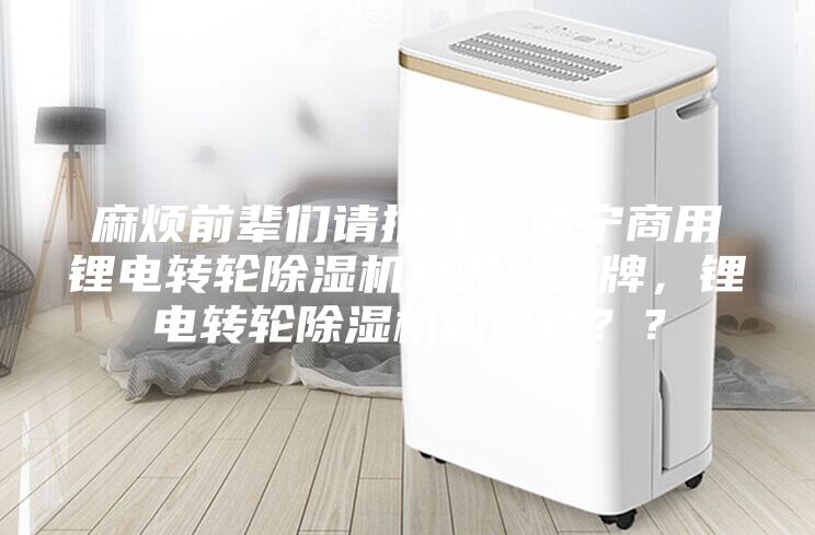 麻煩前輩們請推薦！南寧商用鋰電轉(zhuǎn)輪除濕機(jī)有哪些品牌，鋰電轉(zhuǎn)輪除濕機(jī)如何選？？